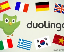 duolingo учим языки бесплатно